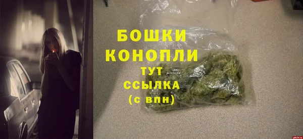 шишки Заволжье