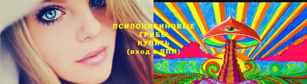стафф Заволжск