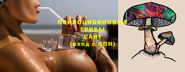 ешки Заводоуковск