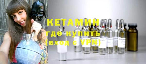 шишки Заволжье