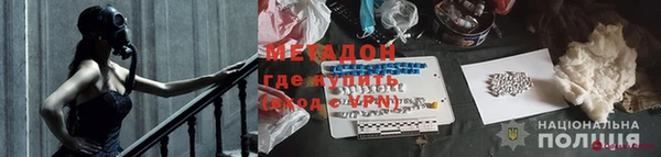 шишки Заволжье