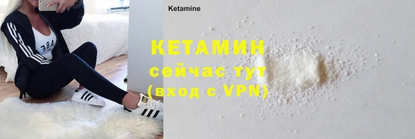 шишки Заволжье