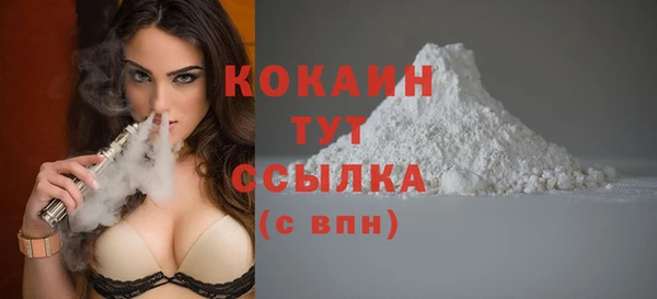 шишки Заволжье
