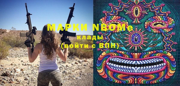 шишки Заволжье
