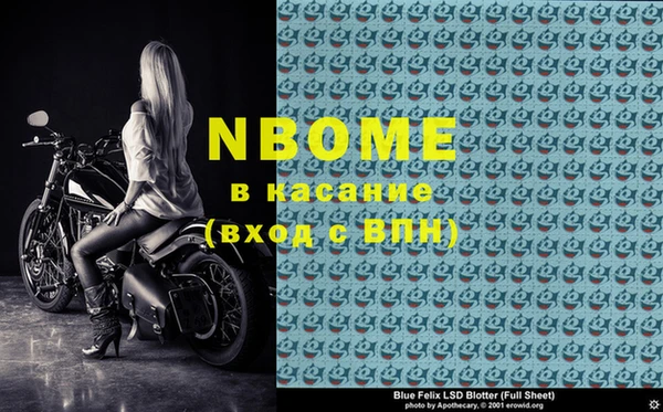 шишки Заволжье