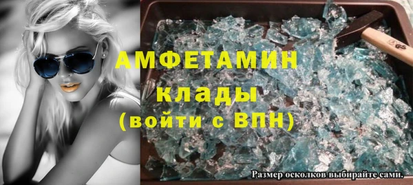 шишки Заволжье