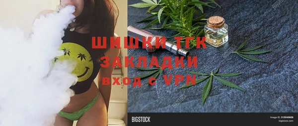 шишки Заволжье