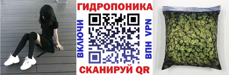 Конопля MAZAR  Купить  Гурьевск 